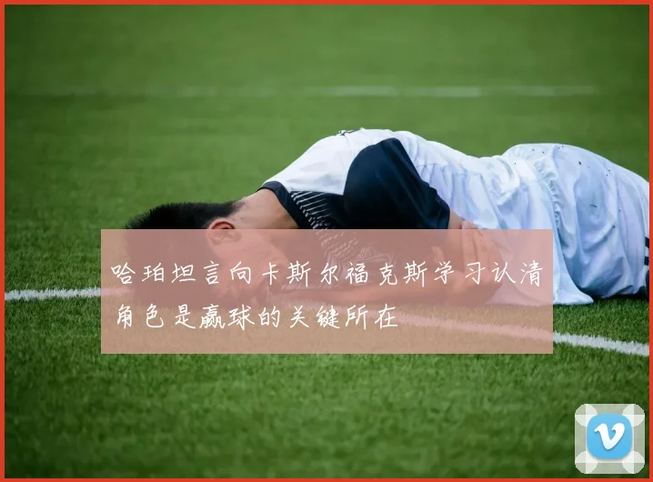 哈珀坦言向卡斯尔福克斯学习认清角色是赢球的关键所在