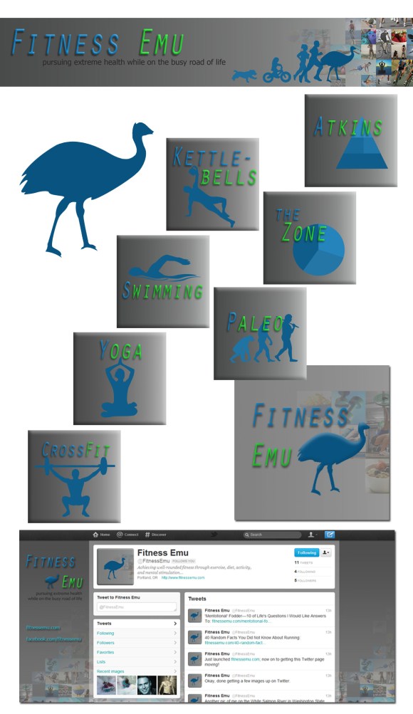 fitness emu example